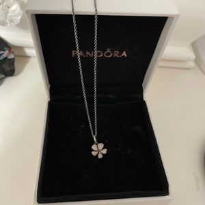 Pandora Necklace